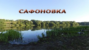 РЫБАЛКА НА ПРУДУ. МАЛЕНЬКИЕ КАРПЯТА,САФОНОВКА, НОЧЕВКА 27-28 августа. Рыбалка Белгород.