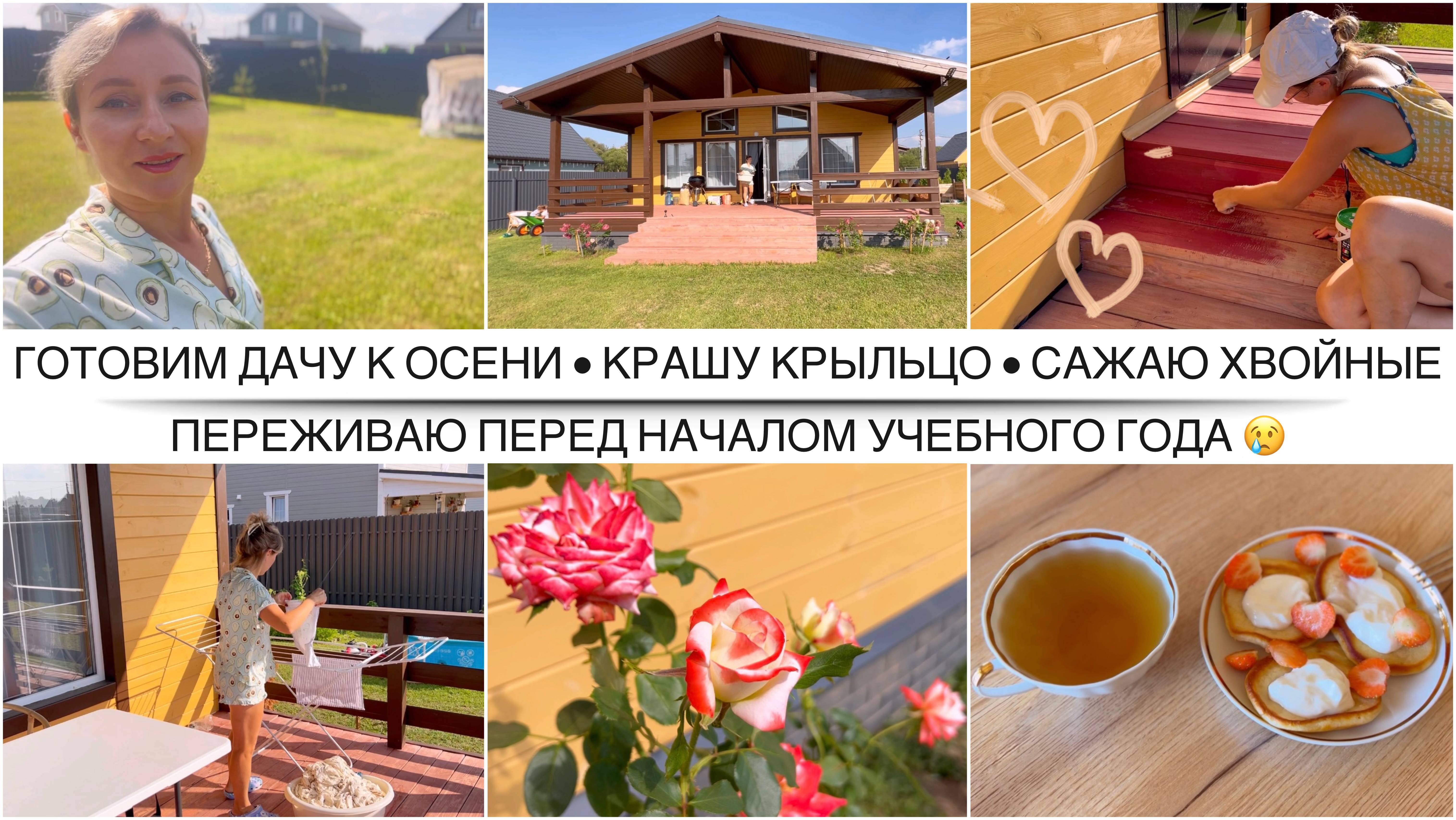 УЮТНАЯ ДАЧА В ПОДМОСКОВЬЕ 🏡 МНОГО ДЕЛ В ДОМЕ И НА УЧАСТКЕ / Страшно перед школой / Бизипапка