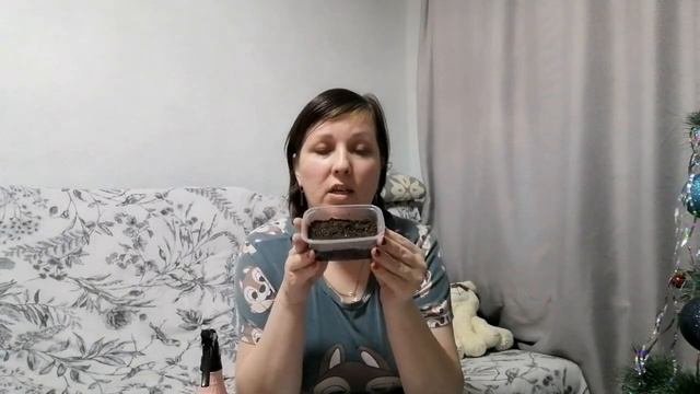 Секреты выращивания петунии из семян. Как вырастить петунию легко и просто, без лишних заморочек.