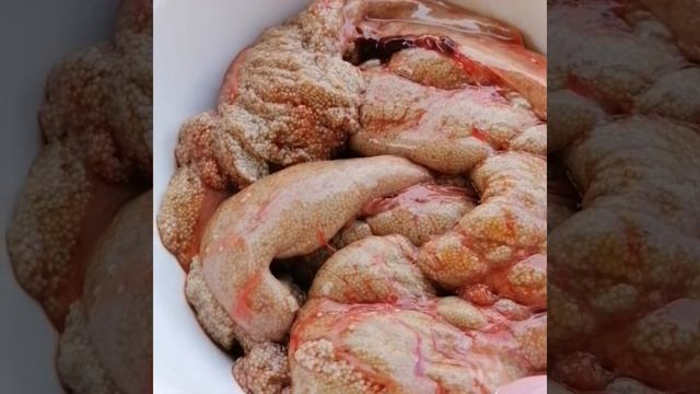 РЫБА НА МАНГАЛЕ//КАК ЧИСТИТЬ РЫБУ