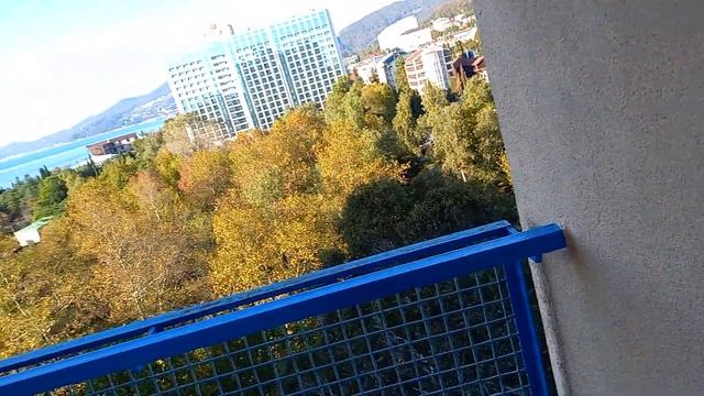 Сочи. АДЛЕРКУРОРТ. Корпус.Дельфин .Номер комфорт.