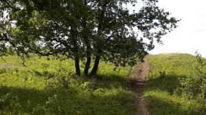 Кукует кукушка поют птицы в Бавлинском лесу за родником Релаксация