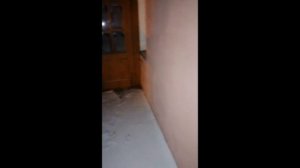 ‼️ВСЯ ПРАВДА о г.ПУЧЕЖ            2019-2021‼️