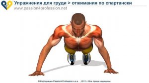 Отжимания по спартански  Упражнение для тренировки плеч и грудных мышц