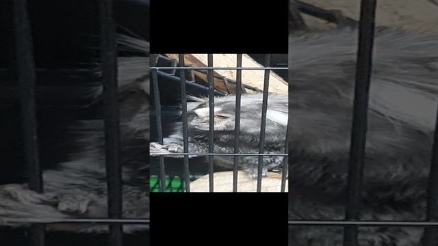 ждёт вкусненького