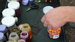 ЛОВЛЯ ДИКИХ КАРПОВ В КЫРГЫЗСТАНЕ.. КОРЯЖНЫЕ МОНСТРЫ ЗАРОСШЕГО КАРЬЕРА.