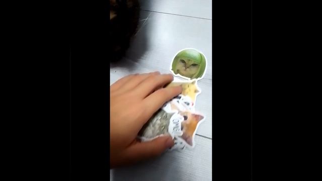 наклейки