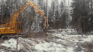 Харвестер Komatsu PC200LC-8M0 Лучший Харвестер для Севера/ The Best Harwester for Nordic