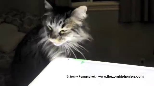 Stop Bothering Me! смотреть онлайн