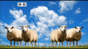 Летние заставки 2x2 (2023)