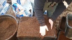 Рассада: правильная набивка 264 кассет, подготовка торфяного субстракта