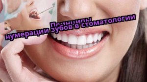 Принципы нумерации зубов в стоматологии