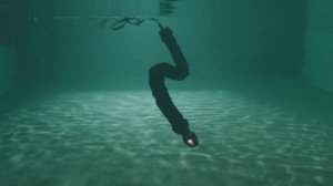 Подводный робот-змея
