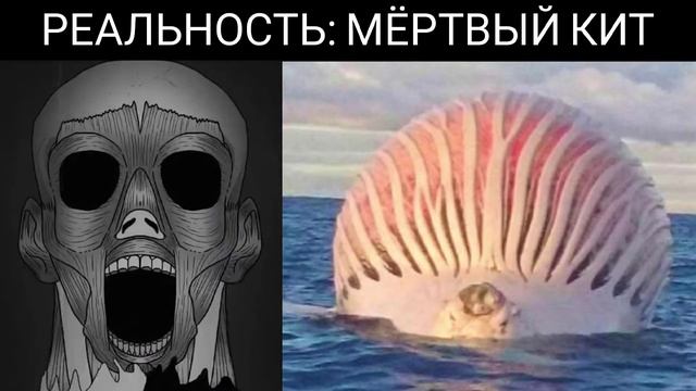 Ожидания VS реальность смотреть онлайн