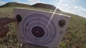 САЙГА-МК и ВЕПРЬ 308