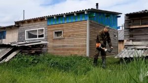 Триммер бензиновый STIHL. СЕНОКОС. Кошу траву у бани (музыка, поговорки)