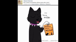 Приколы Коты-Воители #1