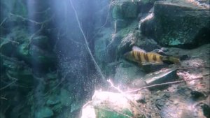 А под водой , а под водой там мир совсем иной.. , Карелия