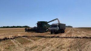 Уборка зерна 2021 Ростовская область, слобода Дёгтево, Миллеровский район