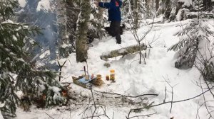 Дай Джим на счастье лапу мне ...