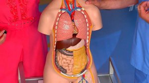 Рак пищевода. Жить здорово! Фрагмент выпуска от 09.11.2016