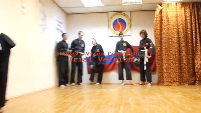 Вьет Во Дао 2010.mp4 смотреть онлайн