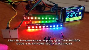 My Experiments with ESP32, ESPHOME and WS2812b LED displays