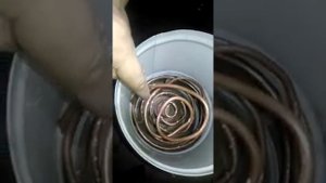 1ч Мощная Бензиновая горелка.. Обеднялка Фунтика для всех видов ДВС