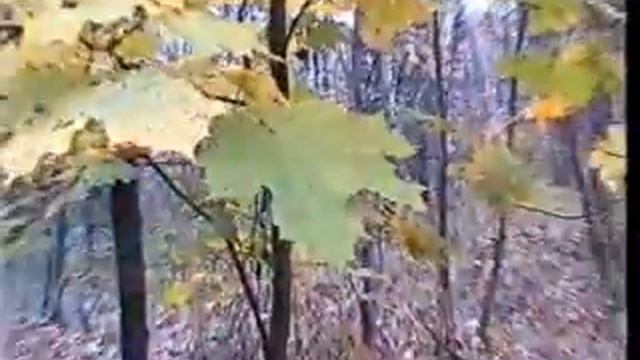 После бала смотреть онлайн