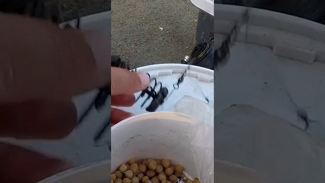 САМАЯ ПРОСТАЯ СНАСТЬ НА САЗАНА. #shortvideo #short #shorts #рснастьнаСазана #рыбалка #Ловлясазана смотреть онлайн