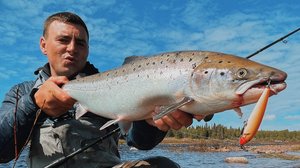 СПИННИНГ против НАХЛЫСТА, Экспедиция за СЕМГОЙ, Кольский полуостров!.mov