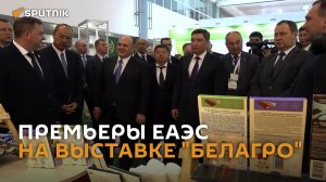Тракторы, топор и молочные коктейли: премьеры ЕАЭС посетили "БелАГРО"