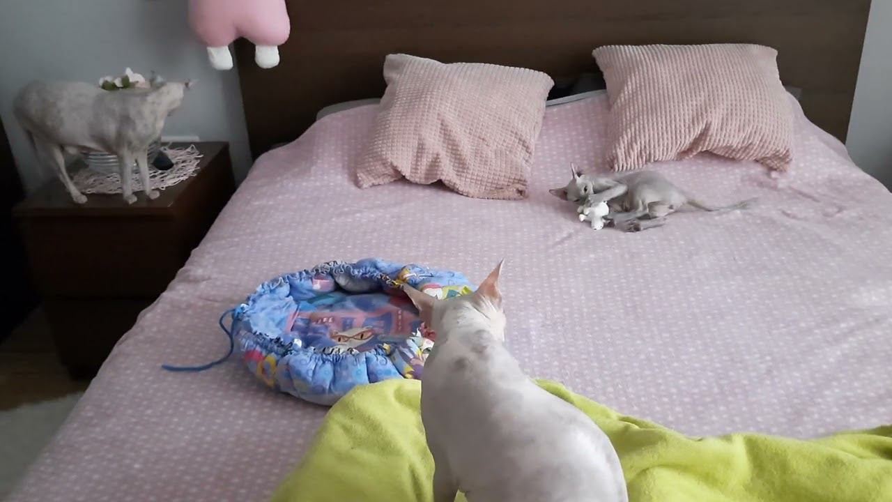 23 мая 2022 г. смотреть онлайн