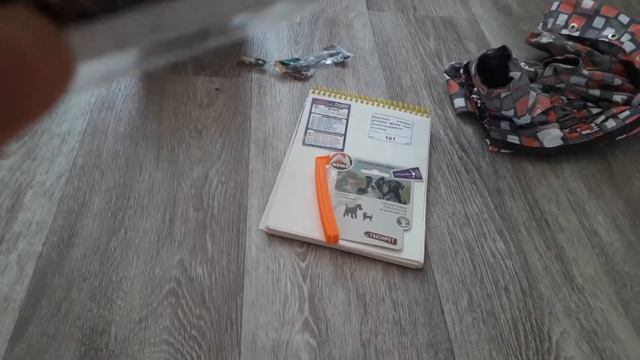 Покупки из зоомагазин длй йоркширского терьера смотреть онлайн