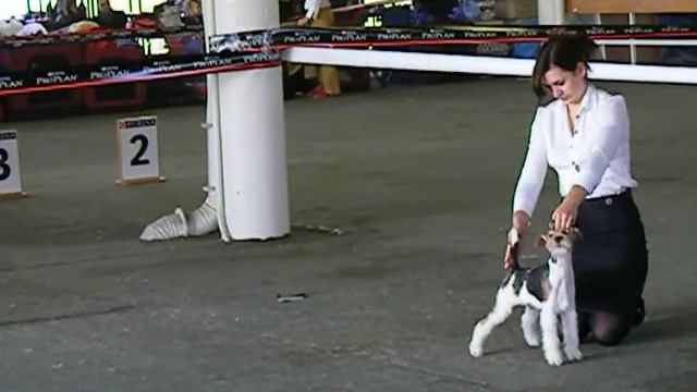 Класс "Беби" смотреть онлайн