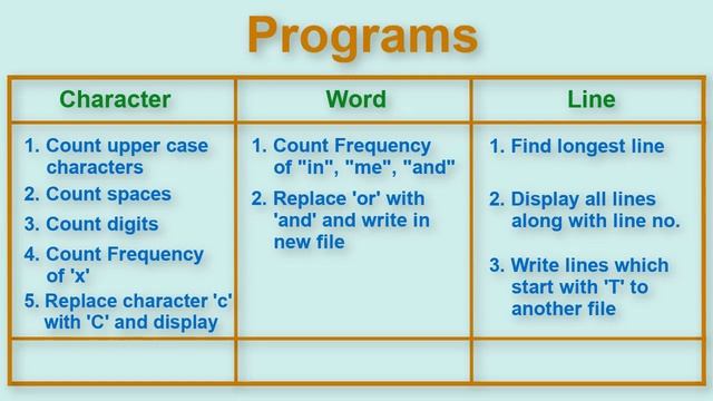 Handle any Python Text File Programs