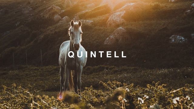 МОЛОДАЯ ЛОШАДЬ (REMIX) смотреть онлайн