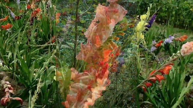 Flowers Only 4U Picked In The Fields - HD смотреть онлайн