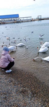 Анапа, море, чистый воздух.