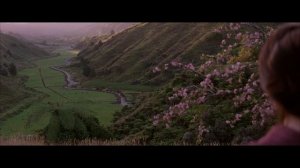 The Beauty Of The Last Samurai