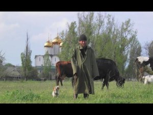 "Такая работа". Братья-труженики с хоз. двора. Свято-Успенский Николо-Васильевский монастырь