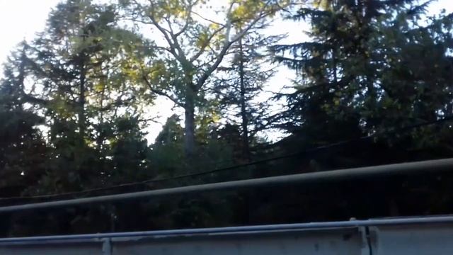 ЛАЗАРЕВСКОЕ ОТДЫХ СЕНТЯБРЬ 2023/РЕЧНАЯ К СТОЛОВОЙ БРИСТОЛЬ смотреть онлайн