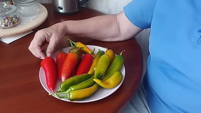 632. Забор жёлтый. Забор красный. Урожай с балкона.
