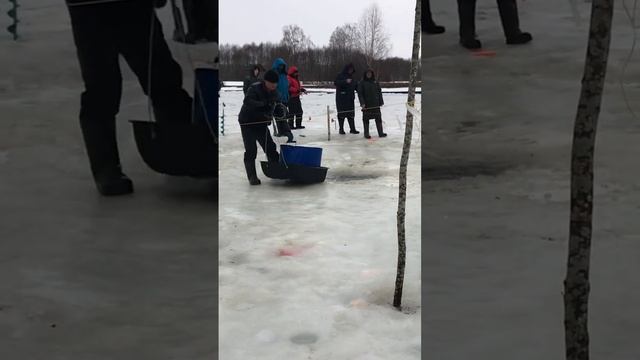 Зарыбление форели, форелевая рыбалка, РК «Фишка» Петряиха