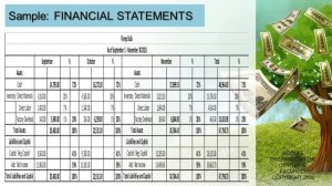 Financial Feasibility and Sensitivity Risk Aspect Feasibility Module IV @THINKTANKLIKEBEES