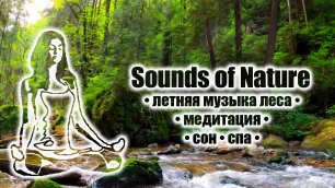 Летняя музыка леса • медитация • сон • спа • Sounds of Nature