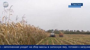 Колхоз им. Гурьянова уборка урожая // посев озимых