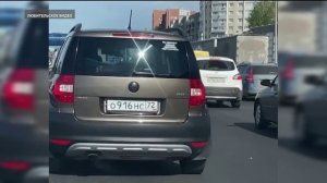 Тюменец остановил поток автомобилей на объездной для утки с утятами