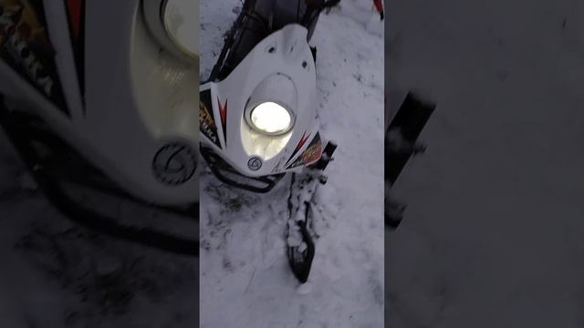 31 января 2023 г. смотреть онлайн