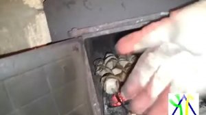 шашлык в печи бани